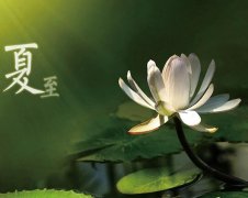 夏至節(jié)氣，廣西強壽藥業(yè)集團提醒您注意防暑降溫