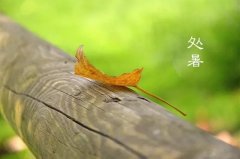 今日12時9分，迎來處暑節(jié)氣